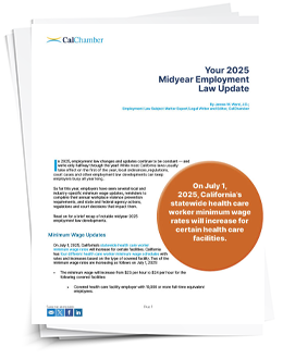 2025 Midyear Employment Law White Paper